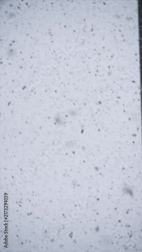 Falling snowflakes over a blurred winter background on a cold day