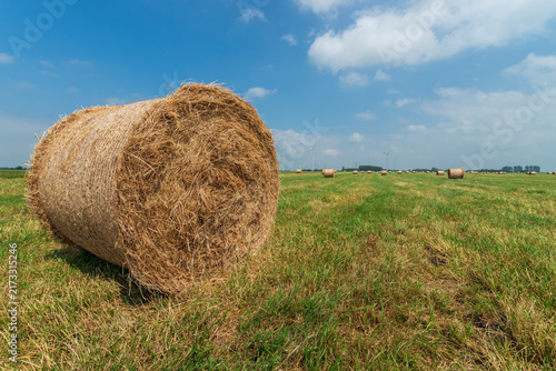 Картината върху платно Rolled haystack in a field under a blue sky