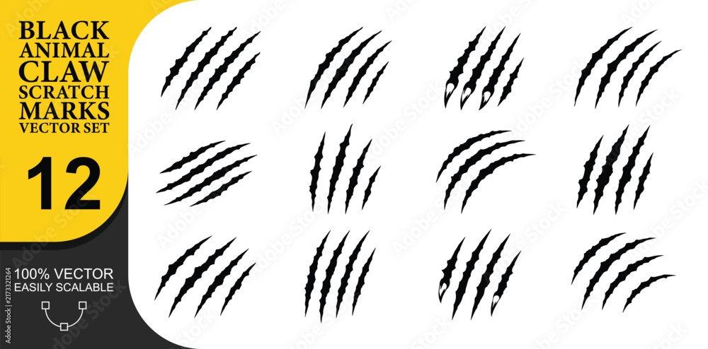 Fototapeta premium Set of twelve black animal claw scratch marks on transparent background for various creative designs. Gritty predator rips and slashes symbolize danger or action.