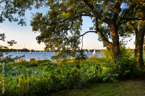 Natur am Außenalsterufer Hamburg
