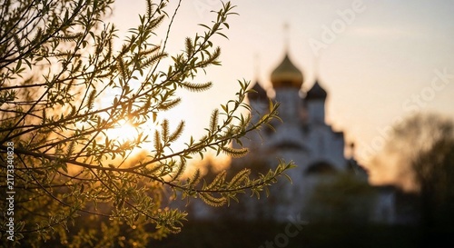 Sunlight shining through willow branches with blurred church background at sunset