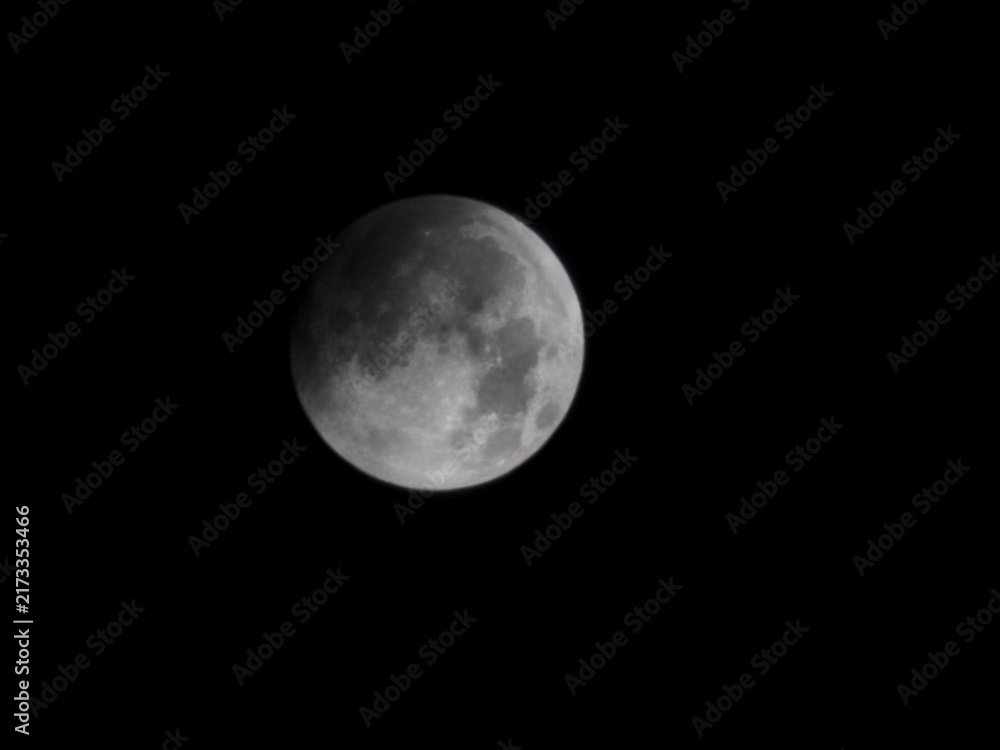 Fototapeta premium moon