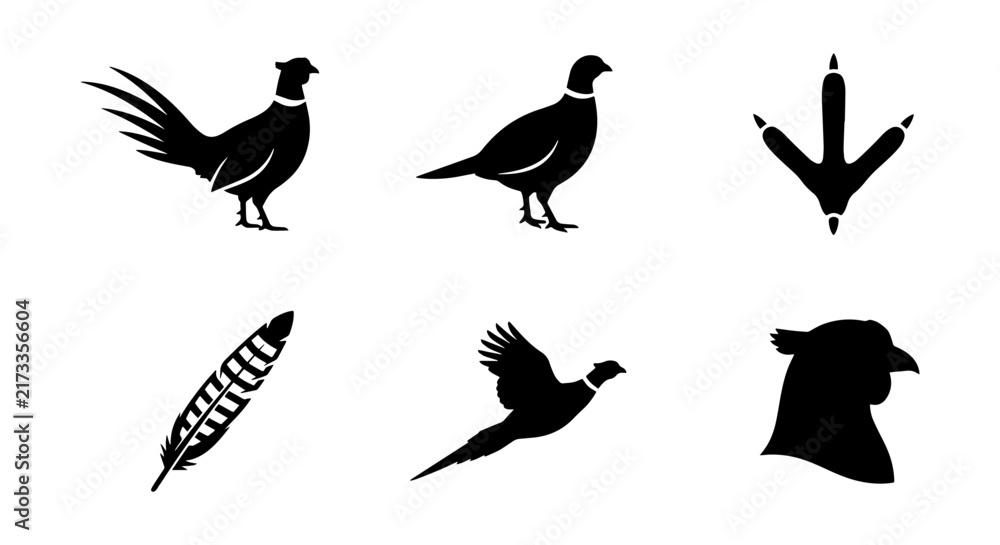 Fototapeta premium Pheasant Icons Set, Bird Silhouettes, Feather and Footprint Vector Graphics