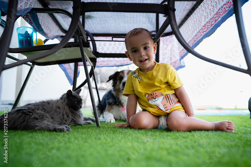 Toddler playing hideout with dog and cat