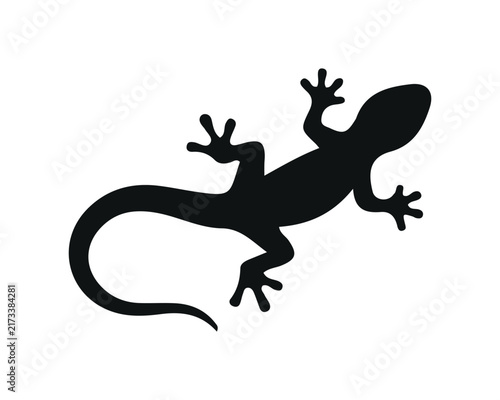 Black silhouette of a lizard gecko reptile with long tail white background silhouette isolated wildlife