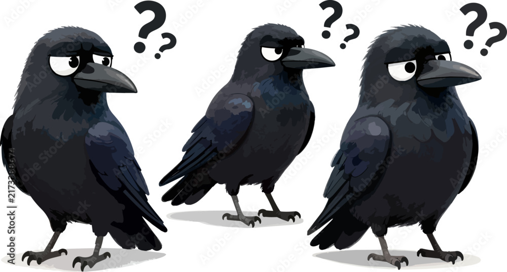 Naklejka premium Funny crow cartoon characters with question marks, confused black raven bird illustrations, set of 3 grumpy crow vectors
