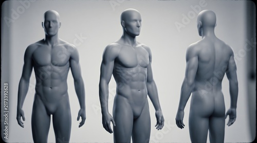 Mannequin models are shown from three different angles to exhibit human anatomy and physique.