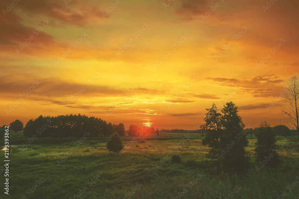 Obraz premium Rural landscape with the beautiful evening sky. Green meadow in summer