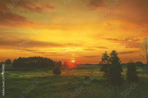Rural landscape with the beautiful evening sky. Green meadow in summer