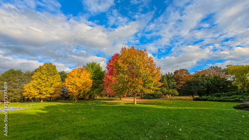 Canvas Print Vibrant autumn trees in James Gardens Toronto during November