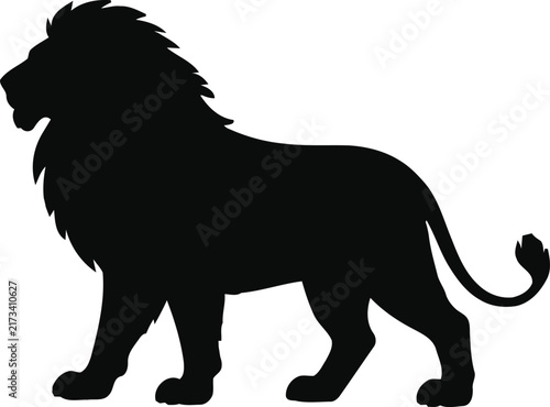 lion vector illustration