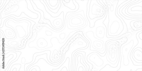 Quadro su tela Topographic map contour lines, black and white background, with irregular organi