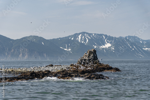 Cuadro en lienzo Rocky sea stack stands in Avacha Bay against snow-streaked mountains of Kamchatka, Russia, under clear sky