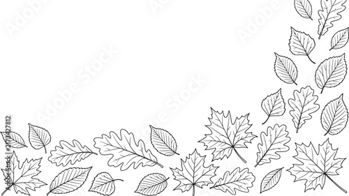 Hand drawn autumn leaves border frame, black and white botanical line art illustration.