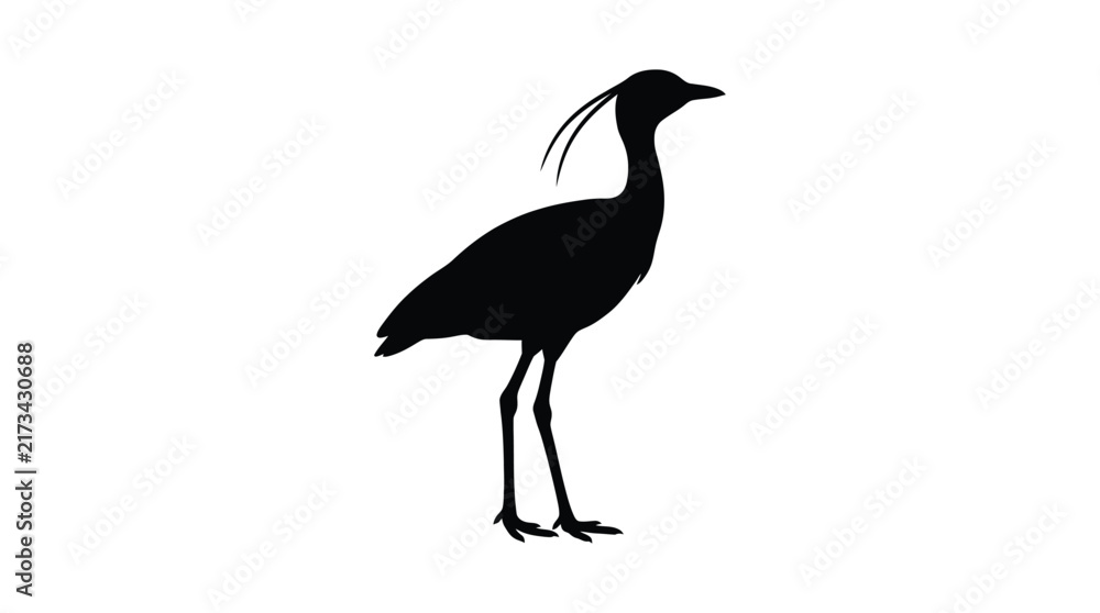 Fototapeta premium A black silhouette of a secretary bird stands against a white background silhouette