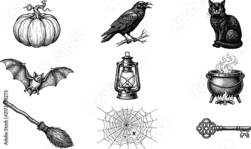 Obraz na plátne Vintage Halloween hand drawn line art vector set featuring creepy pumpkin, spooky raven, mystical black cat, flying bat, and witch cauldron illustrations