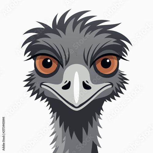 Emu head illustration with expressive eyes and detailed feathers  
