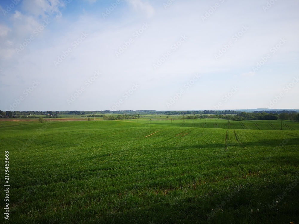 Obraz premium Expansive green cultivated fields stretch across a gently rolling rural landscape beneath a bright cloudy spring sky