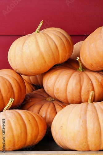 Cheese pumpkins at the farmers market in the fall