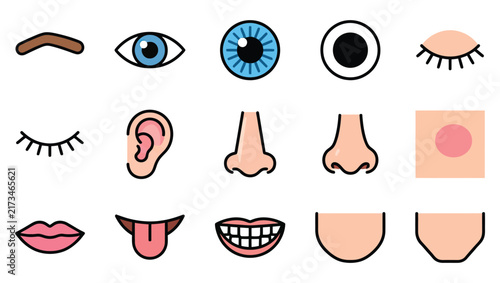 A collection of colorful vector icons representing each distinct human body part including eyes ears nose mouth and chin