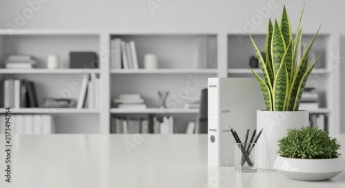 White office desk with potted snake plant, small succulent, and document folder organizer