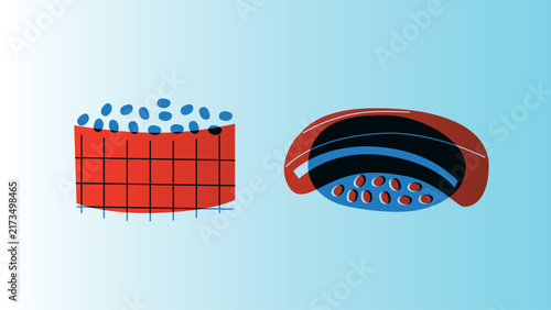 Sushi and rolls collection. Decorative abstract horizontal banner with colorful doodles. Hand-drawn modern illustrations with sushi and rolls abstract elements. Asian cuisine
