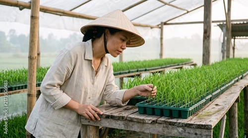 Agronomist checks salt tolerant rice plants indoors