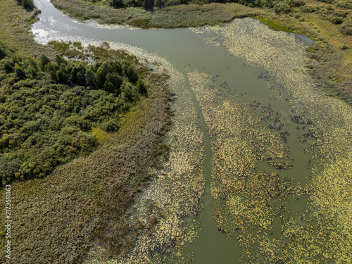 Aerial View of Wetland River with Floating Aquatic Vegetation