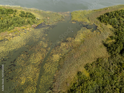 Aerial View of Wetland Delta with Yellow Water Lilies and Boat