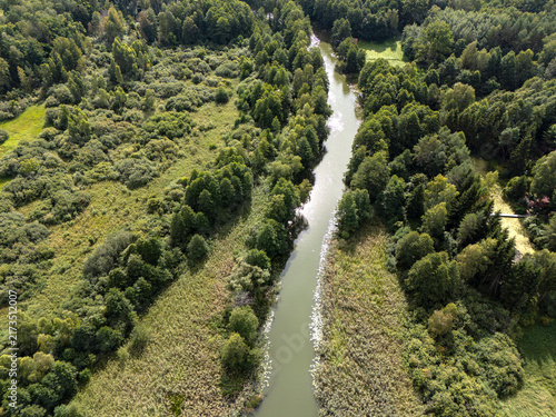 Aerial View of Winding River Through Dense Green Forest
