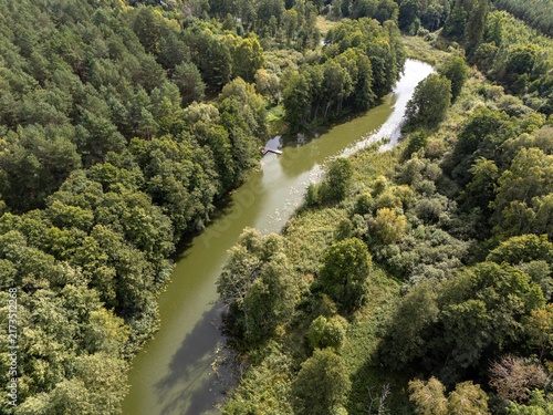 Aerial View of Winding River Through Dense Green Forest