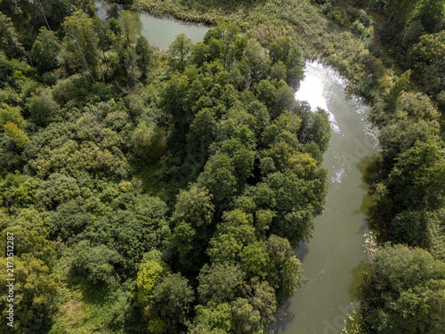 Aerial View of Winding River Through Dense Green Forest Canopy