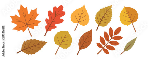 Autumn Leaves in Warm Flat Botanical Illustration Set