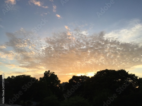Foto Dramatic Altocumulus Clouds Spreading Over Tree Silhouettes at Sunset