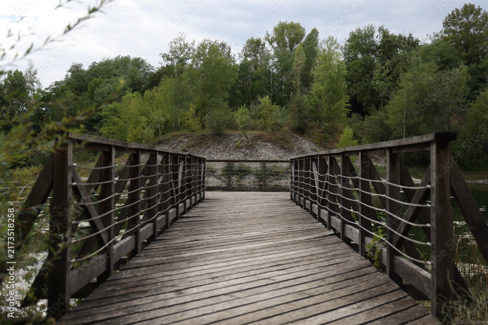 Obraz premium Passerelle en bois traversant un étang au cœur d’une réserve naturelle