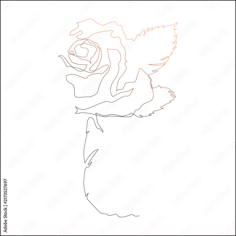 Fototapeta premium Half Rose Flower Botanical Line Art, Elegant Partial Floral Outline