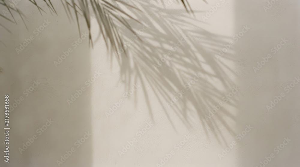 Obraz premium Palm tree frond shadow cast on neutral wall background