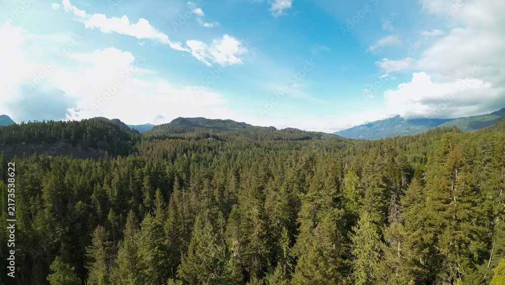 Obraz premium An aerial wide shot sweeps over a vast green forest canopy covering rolling mountain hills and deep wilderness valleys under a beautiful blue sky filled with white clouds.