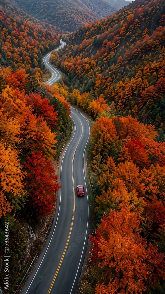 Naklejka premium Road, highway, autumn aesthetic flat lay composition on a soft neutral background