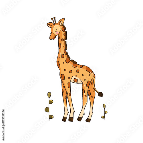 Photography Hand-drawn digital illustration of a cute tall giraffe standing, PNG with transparent background