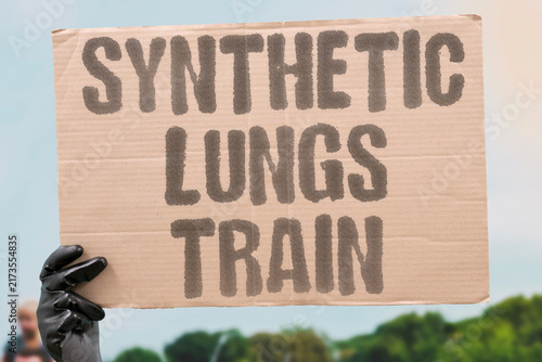 Fotografie "Synthetic lungs train" GANs create fake tissue for teaching models