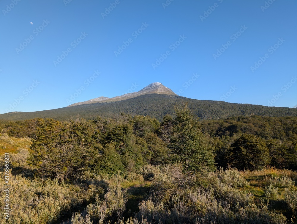 Fototapeta premium Conical Mountain Peak Above Patagonian Forest Near Ushuaia