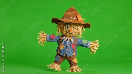 Cute scarecrow puppet character posing and walking on green screen.