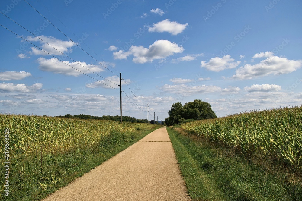 Fototapeta premium On a sunny summer day, the Great Sauk State trail passes between cornfields ready to harvest near Sauk City, Wisconsin.