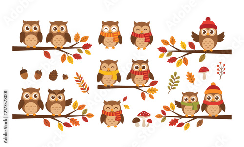 Autumn owl vector illustration isolated on white background