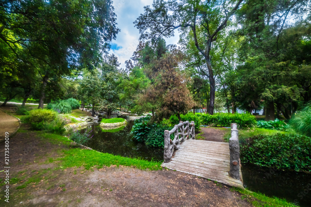 Fototapeta premium Pond in the baths of Moctezuma in the Chapultepec forest