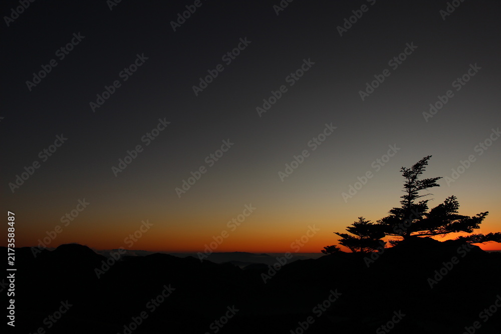 Fototapeta premium 石鎚山 雲海 マジックアワー 瓶ヶ森 夕日 山影 トワイライト 愛媛県 絶景 地球環境 背景素材