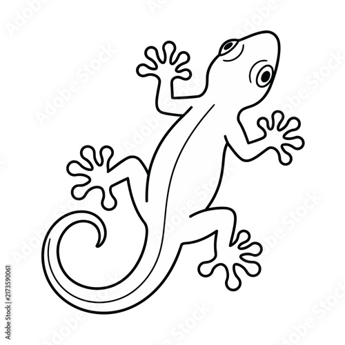 Line art of a gecko