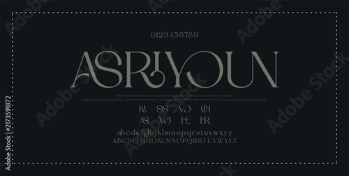Fototapeta ASRIYOUN Luxury alphabet letters font and number. Typography elegant wedding classic lettering serif fonts decorative vintage retro concept. vector illustration 
