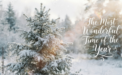 Snowy Christmas tree in winter forest with typographic greeting text The Most Wonderful Time of the Year for holiday design and seasonal greeting cards